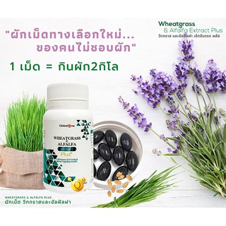 ผักเม็ดเสริมภูมิคุ้มกัน Wheatgrass &amp; Alfalfa Extract Plus