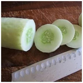 เมล็ด แตงกวาสีขาว ไวท์วอนเดอร์ - White Wonder Cucumber