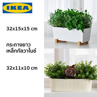 กระถางต้นไม้ กระถางต้นไม้เหล็ก กระถางต้นไม้ยาว กระถางเหล็ก กระถางยาว IKEA อิเกีย