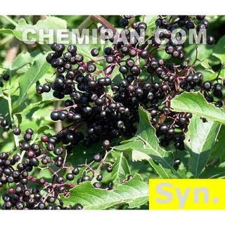 [CHEMIPAN] หัวน้ำหอม กลิ่นเอลเดอเบอร์รี่ (Elderberry Fragrance) 250g.