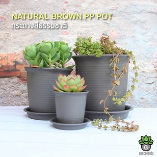 แหล่งขายและราคากระถางต้นไม้พลาสติกสีน้ำตาลธรรมชาติ Natural Brown Pots Garden Decor เหลือ M ไซส์เดียวอาจถูกใจคุณ