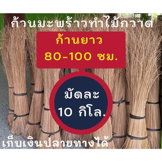 ก้านมะพร้าว ยาว 80-100 ซม 10 กิโล  ก้านไม้กวาดมะพร้าวแห้ง ก้านทางมะพร้าว ถวายพระ ทำบุญ หรื