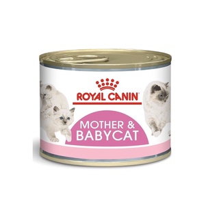 Royal Canin Mother &amp; Baby Cat  (195 กรัม/กระป๋อง) อาหารเปียกสำหรับลูกแมวและแม่แมว