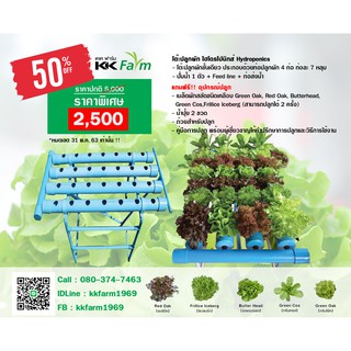 อุปกรณ์ปลูกผักในบ้าน ผักไฮโดรโปนิกส์ Hydroponics