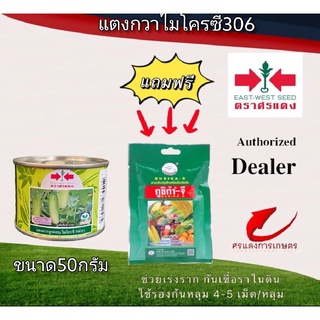 เมล็ดพันธุ์ แตงกวาไมโครซี306 50g แถมกูซิก้าจีซองเล็ก