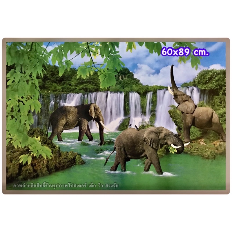 ภาพโปสเตอร์น้ำตกช้างเล่นน้ำไม่ใช่สติ๊กเกอร์ ขนาด 60*89 เซนติเมตร