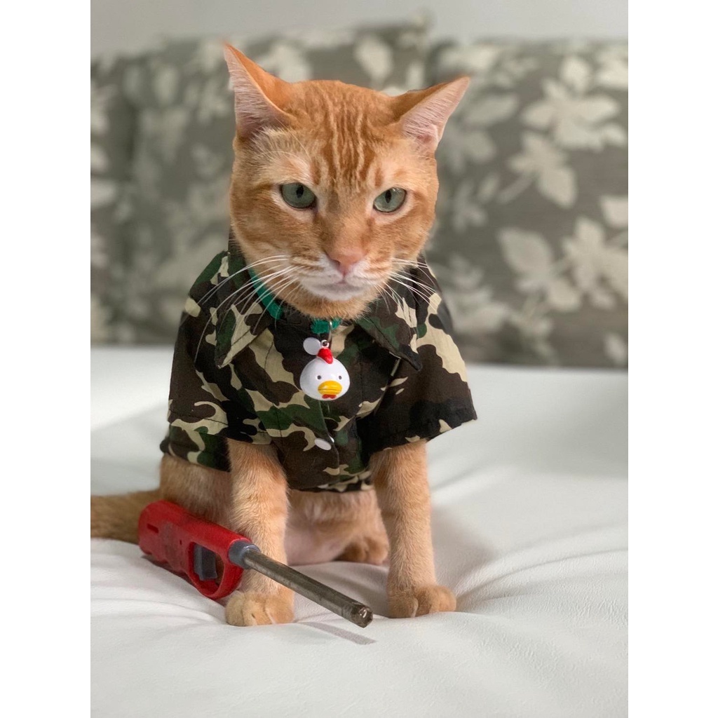 เสื้อเชิ้ต สุนัขไซส์ใหญ่ พร้อมส่ง ทรงหลวมใส่สบาย แฟชั้นฤดูร้อน เนื้อผ้าบางใส่สบายเบอร์7-11 - รูปที่ 5