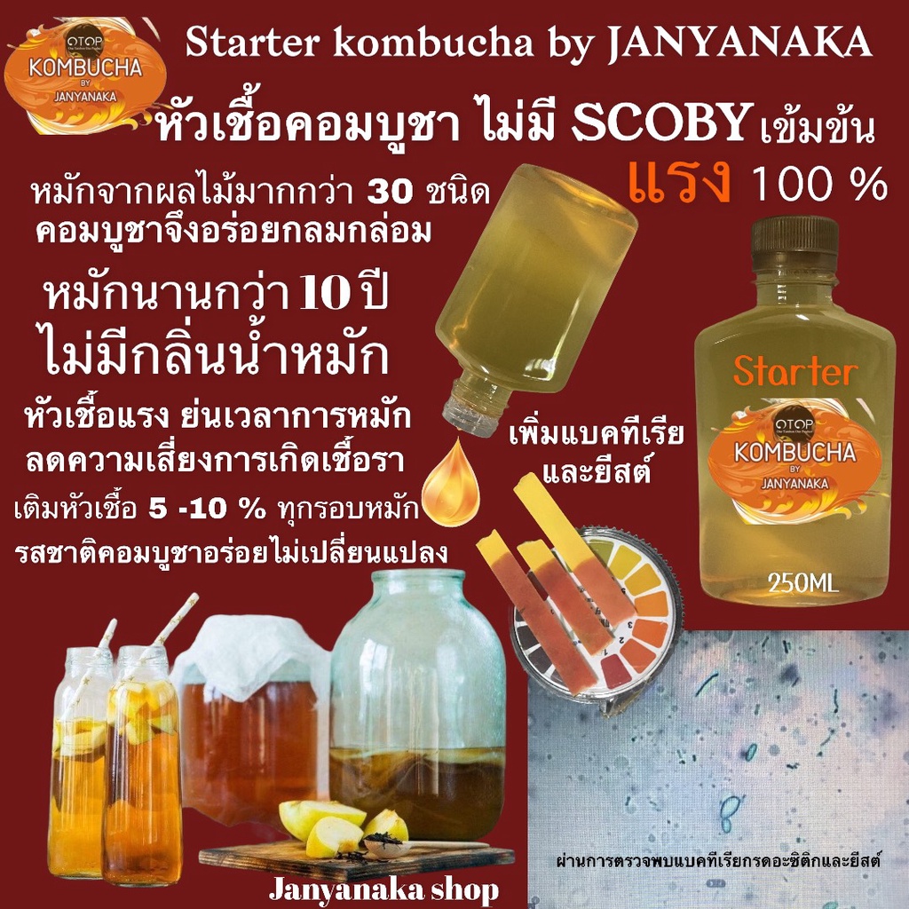 หัวเชื้อคอมบูชา ไม่มีสกุบี้ starter kombucha by JANYANAKA เข้มข้น100%สำหรับคยมีสกูบี้แล้ว (otop) มั่นใจต้อง