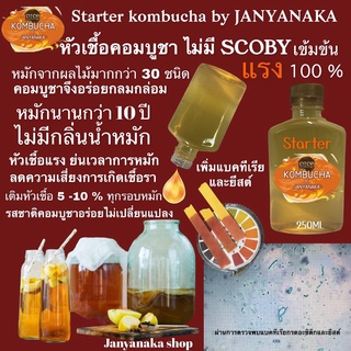 หัวเชื้อคอมบูชา ไม่มีสกุบี้ starter kombucha by JANYANAKA เข้มข้น100%สำหรับคยมีสกูบี้แล้ว (otop) มั่นใจต้อง⭐️⭐️⭐️⭐️⭐️