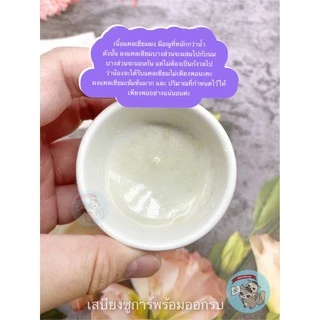( แคลเซียม ) CALCIUM แคลเซียมผง สัตว์เล็ก สัตว์เลี้ยง สัตว์ฟันแทะ ชูการ์ กระรอก ดอร์เมาส์ แฮมสเตอร์ เม่นแคระ กระรอก