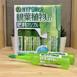 10 หลอด 1 กล่อง โล๊ะสตอค เคลียโกดัง ปุ๋ยญี่ปุ่น ปุ๋ยปักลงกระถาง HYPONEX แอมเพิล hyponex สูตรเขียวอ่อน ขายยกกล่อง 10 หลอด