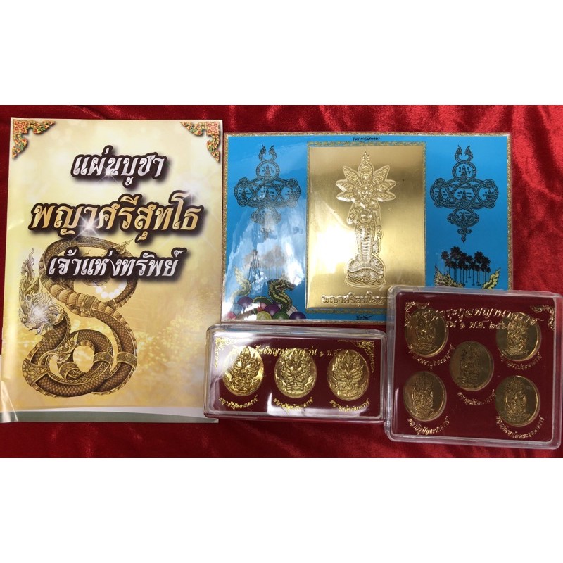 ชุดเหรียญเปิดขุมทรัพย์พญานาคราช และเหรียญชุดต้นตระกุลพญานาคราช
