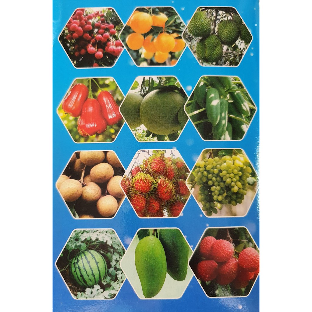 ยูก้า 1ลิตร อาหารเสริมพืช ฮอโมนพืช เหมาะกับพืชทุกชนิด เร่งลำต้น เร่งใบ เร่งผล ผลใหญ่ น้ำหนักดี - รูปที่ 2