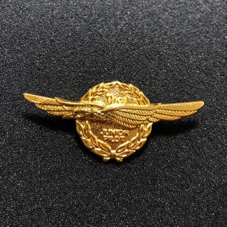 เข็มกลัดนักบิน การบินไทย Thai Airway Brooch (Thai Junior Pilot)