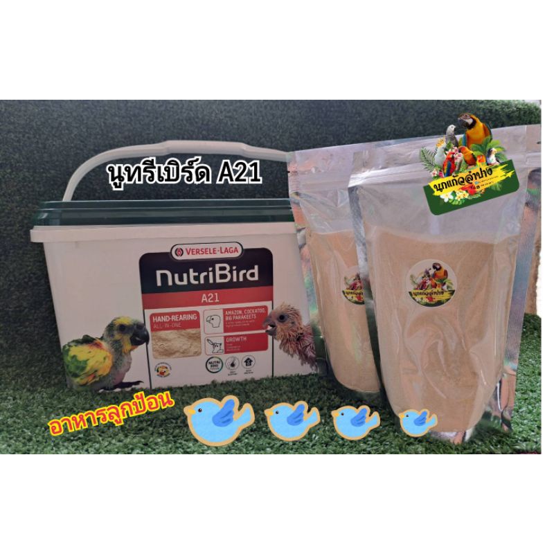 อาหารลูกป้อน นูทรีเบิร์ดA21Nutribird A21