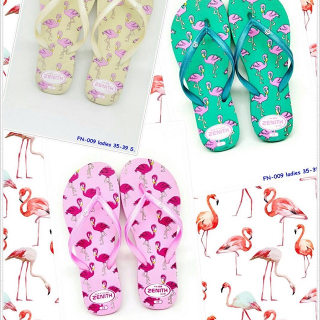 รองเท้าแตะ zenith