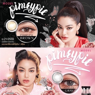 🇰🇷Limited Lens : Pimrypie By พิมรี่พาย x Wink สายตาปกติ - 8.00 ขนาดกลาง