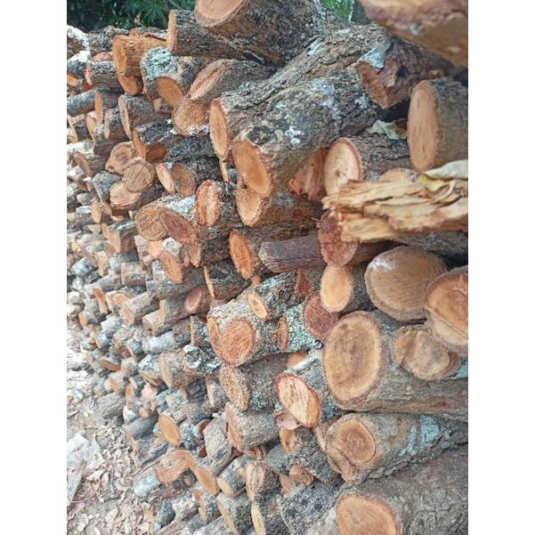 Longon Wood ไม้ลำใย หั่นท่อน ร่มควันอาหารส่งจากสวนจังหวัดลำพูน