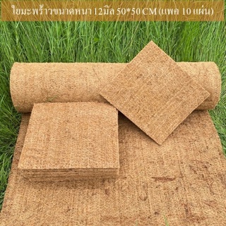 [พร้อมส่ง] 125050(10) ใยมะพร้าวขนาดหนา 12 มิล กว้าง 50*50 เซนติเมตร (แพค 10 แผ่น)