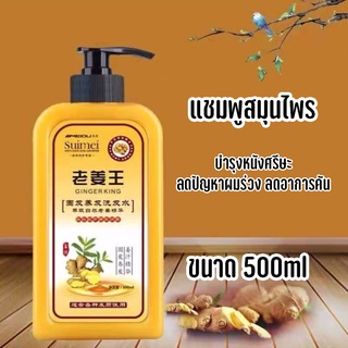 Ginger Scalp Shampoo แชมพูขิงบำรุงเส้นผมหนังศรีษะ แชมพูสมุนไพร 500ml