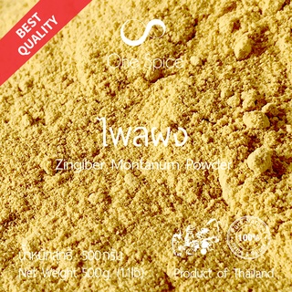 Onespice ไพล ผง 500 กรัม (ครึ่งกิโล) | สมุนไพร ไพลผง | Zingiber Montanum Powder | One Spice