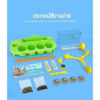 KiDsShOp.STEM WEATHER STATION ระบบนิเวศต้นไม้ (สินค้าพร้อมส่ง)