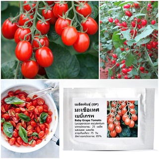 เมล็ดพันธุ์ มะเขือเทศ เบบี้เกรพ Baby Grape Tomato Seed บรรจุ 25 เมล็ด คุณภาพดี ราคาถูก ของแท้ 100%