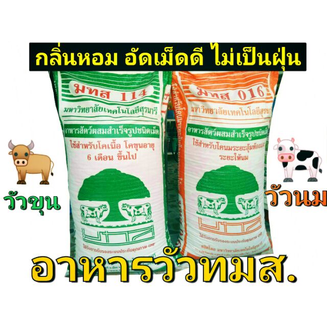 อาหารวัวขุน ถูกที่สุด พร้อมโปรโมชั่น - เม.ย. 2022 | Biggo เช็คราคาง่ายๆ