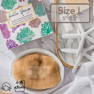 ฟองน้ำธรรมชาติ KALLA SPONGE ชนิด Elephant Ear สีน้ำตาล ฟองน้ำ สำหรับล้างหน้าและอาบน้ำ ทุกเพศทุกวัย