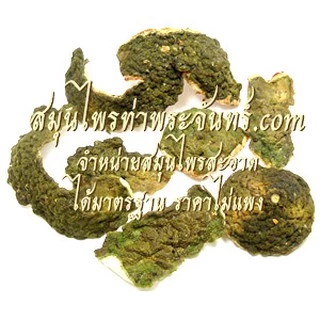 ผิวมะกรูดผง 500 กรัม < ราคาส่งสอบถาม > Kaffir Lime Powder ผิวมะกรูดบดผง สำหรับทานหรือใช้ภายนอก ผงผิวมะกรูด