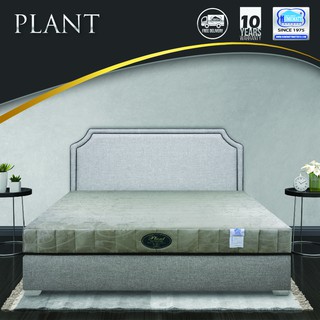 ที่นอน HOMEMATT PLANT ที่นอนรุ่นใหม่ล่าสุด