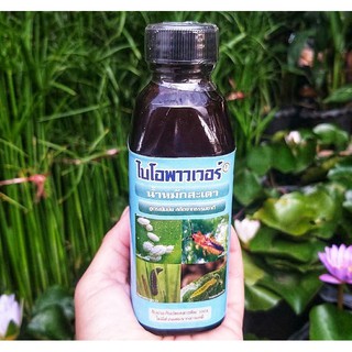 น้ำหมักสะเดา เข้มข้น ผสมน้ำฉีดพ่น 150 ml/ ฟ็อกกี้ 1 ลิตร