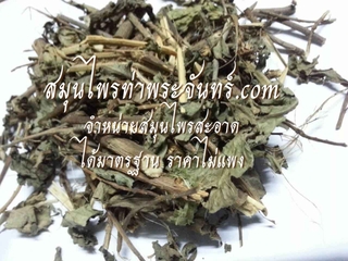 ขลู่แห้ง ( 500กรัม - 1กิโล ) / ( 500g - 1kg ) สมุนไพรท่าพระจันทร์