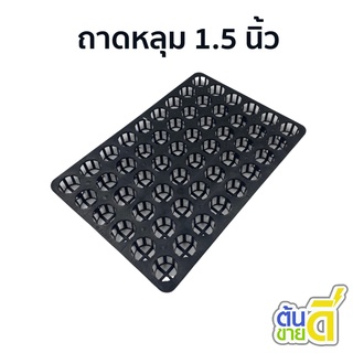 ถาดหลุมแคคตัส
 ถาดหลุม
 ถาดเพาะ ถาดหลุม 1.5 นิ้ว 1 นิ้ว สีดำ