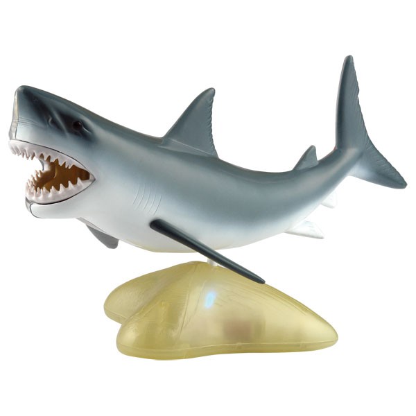 0268 โมเดลปลาฉลาม , ของเล่นไม้, ของเล่นเสริมพัฒนาการ, ของเล่นเด็กอนุบาล, สื่อการสอนเด็กอนุบาล