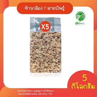 พร้อมส่ง！！ ข้าวกล้องเจ็ดสายพันธุ์5กก.(5ถุง)ข้าวปลอดสาร