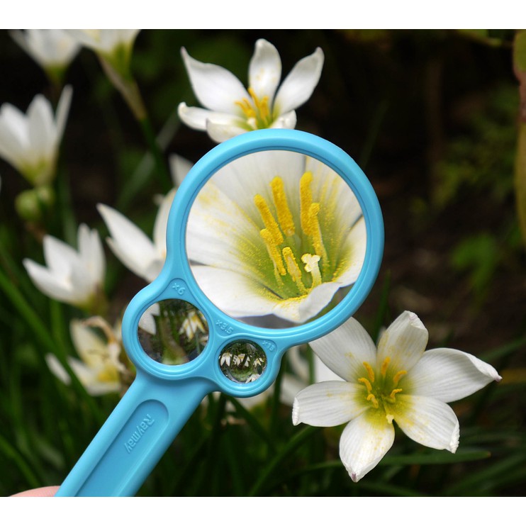 แว่นขยาย แบบ 3 เลนส์ แบรนด์ Raymay ประเทศญี่ปุ่น Super Observation Loupe - รูปที่ 2
