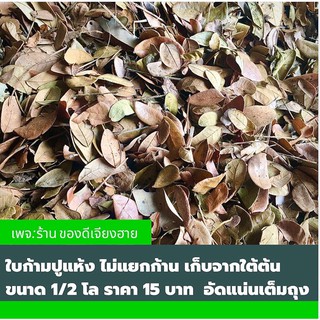 🍂ใบก้ามปูแห้ง 🍂ไม่แยกก้าน เก็บจากใต้ต้นที่มีความธรรมชาติสูง อากาศดีห่างไกลมลพิษ ขนาด1/2โล อัดแน่นเต็มถุง