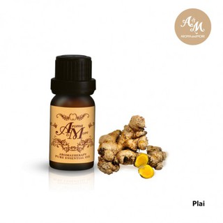 Aroma&amp;More  PLAI Essential Oil 100% น้ำมันหอมระเหย ไพล 100% ไทย / Thai 10/30ML