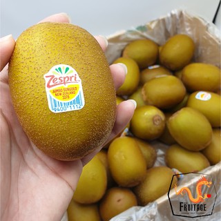 กีวี่ทอง KIWI Zespri SunGold (1ลูก/ไซส์JUMBO) (NewZealand) ~ลดพิเศษ~ Premium หวานเจี๊ยบ อร่อย ! (กีวี่สด กีวี่สีทอง)