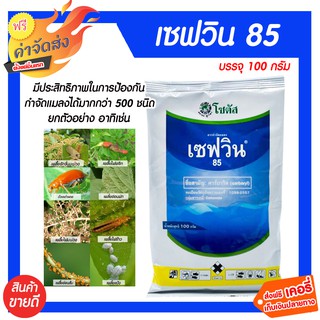 (Carbaryl) เซฟวิน85 100 กรัม กำจัดแมลงได้หลากหลายชนิดทั้งเพลี้ยไฟ เพลี้ยแป้ง เพลี้ยอ่อนและแมลงปีกแข็ง