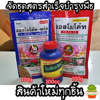 จัดชุด ออสโมโค้ท(13-13-13) ออสโมโค้ทพลัส(12-25-6+1%) วิตามิน B1(ไอรินมัลติ) ชุดสำเร็จรูป ปลูกพืชทุกชนิด ราคาประหยัด