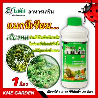 🍄อาหารเสริม🍄 โฟแมกซ์ แมกนีเซียม 300 ขนาด 1 ลิตร โซตัส ช่วยให้ใบพืชเขียวเข้ม ช่วยในการสร้างพลังงาน ดูดซึมสารอาหารต่างๆ