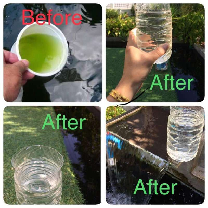 จุลินทรีย์น้ำใส Extra 4 bac น้ำใส สะอาด ย่อยสลายตะกอน ขนาด 300 กรัม - รูปที่ 3