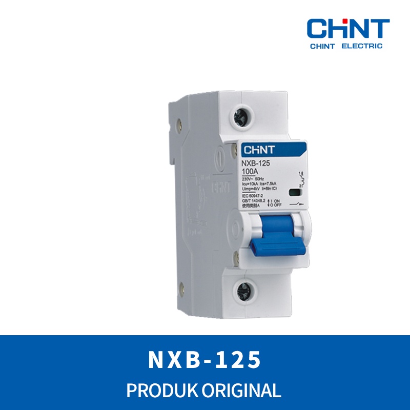 Chint DIN RAIL MCCB NXB-125 / 1P - ทันที