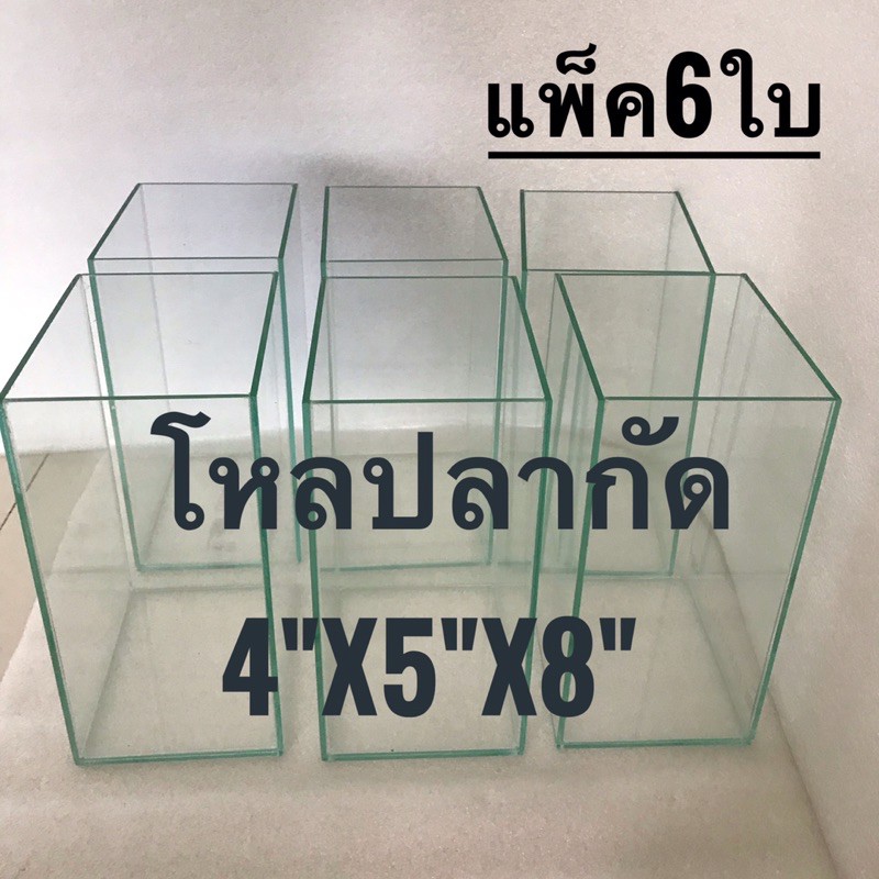 โหลปลากัด ขนาด 4x5x8 นิ้ว หนา3มิล กาวใส แพ็ค6ใบ