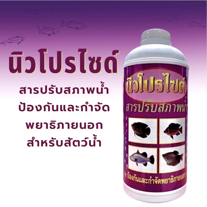 My Image 26