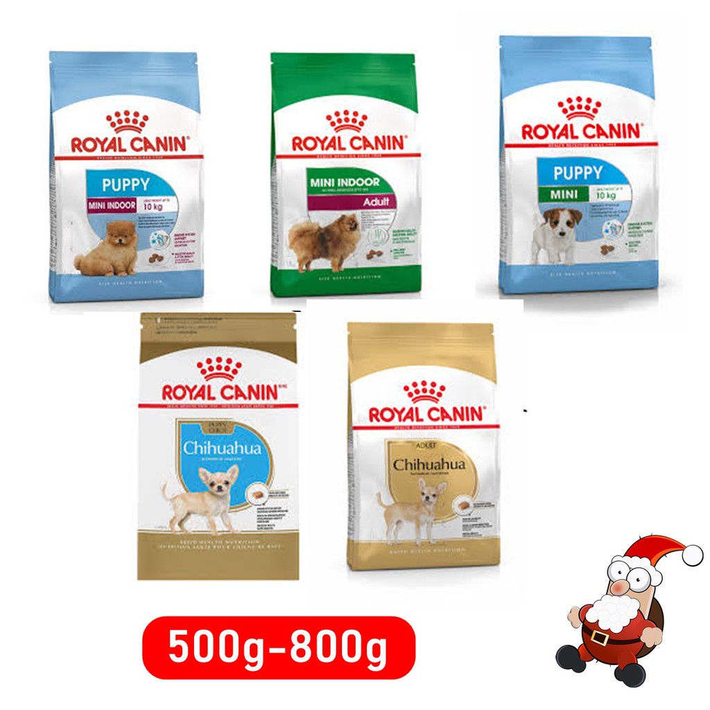 Royal Canin Mini Indoor Puppy/Adult 500 g / Mini puppy