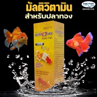 มัลติวิตามินรวม ปลาทอง (ช่วย เร่งสี เสริมโครงสร้าง ป้องกันโรค ช่วยเจริญอาหาร) Medifish Strong Gold Fish 120 ml.