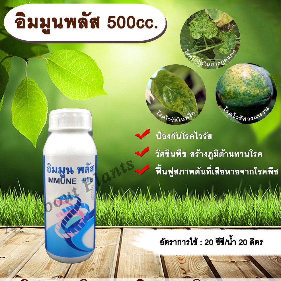 อิมมูนพลัส 500ml. วัคซีนพืช ป้องกันและรักษาโรคพืช เชื้อรา แบคทีเรีย ไวรัส โรคพืช allaboutplants